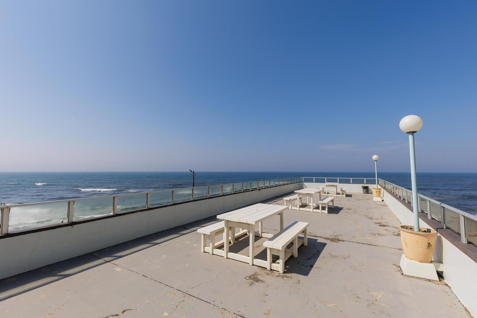 Seagull 311 Apartment *